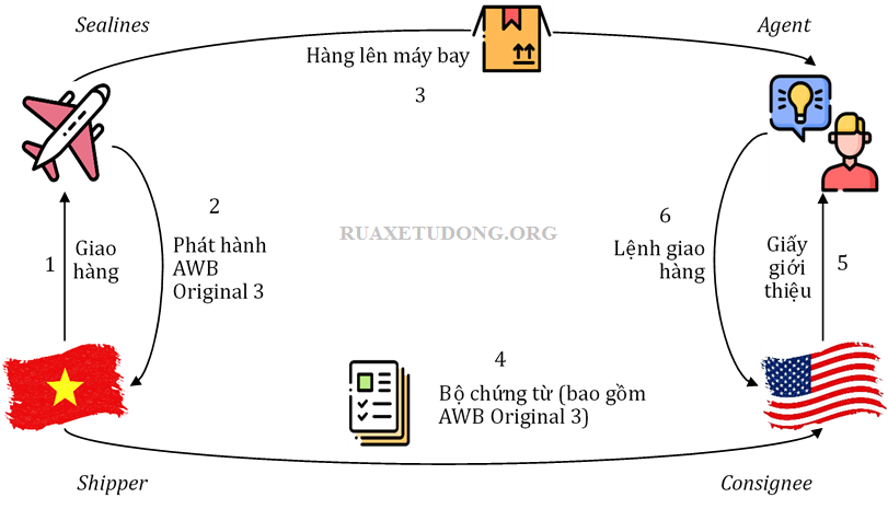 quy-trinh-luu-chuyen-cua-van-don-hang-khong