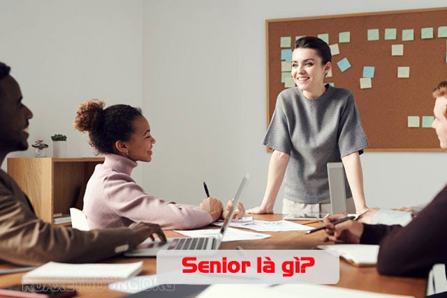 senior là gì