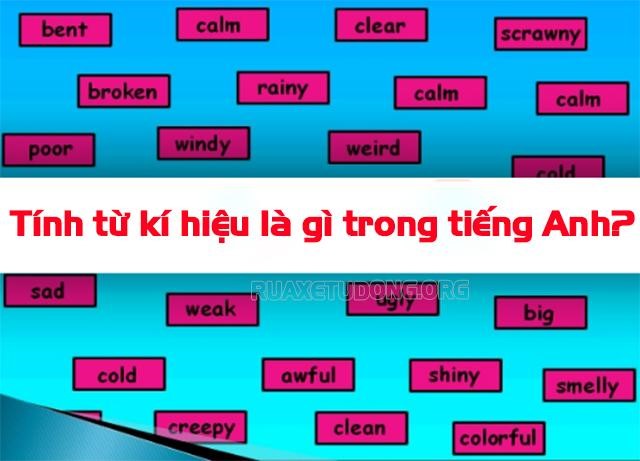 Tính từ là gì? Cách sử dụng tính từ trong tiếng Việt lớp 4 - Rửa xe tự động