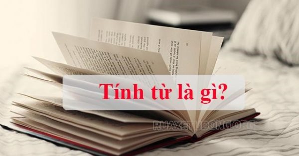 Tính từ là gì?