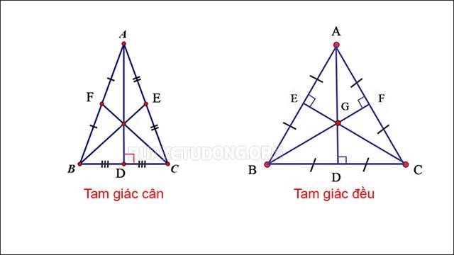Đường trung tuyến trong tam giác cân, tam giác đều