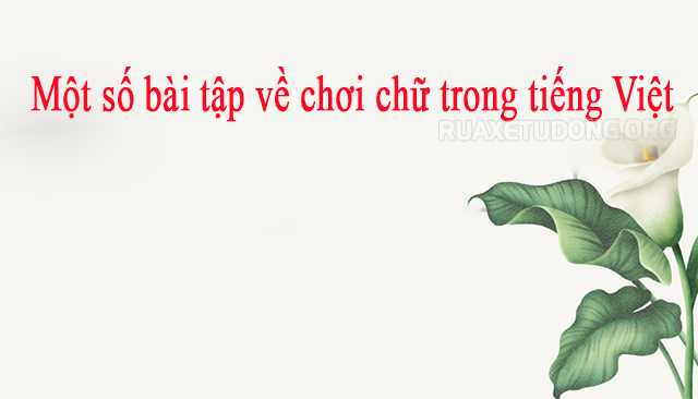 Một số bài tập về chơi chữ trong tiếng Việt
