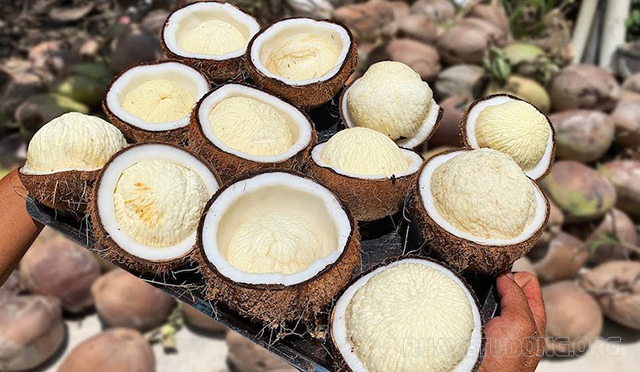 Mộng dừa là gì? 7 tác dụng của mộng dừa đối với sức khỏe