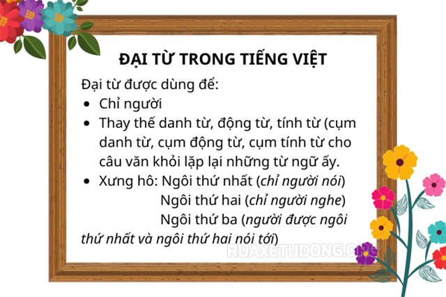 Đại từ là gì?