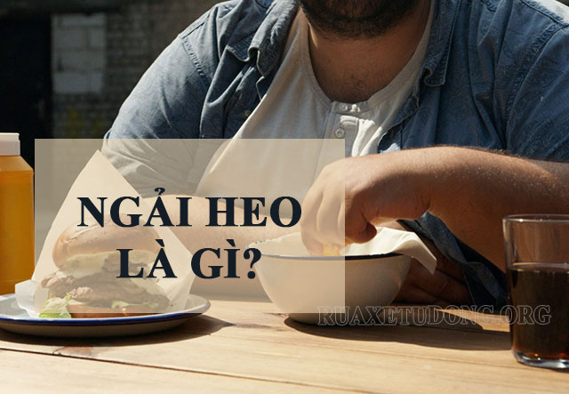 Ngải heo là gì