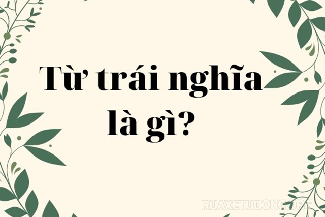 Từ trái nghĩa là gì?