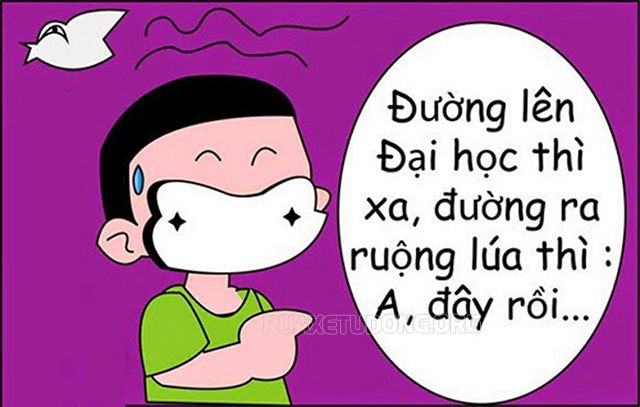 Đường lên đại học thì xa, đường ra ruộng lúa thì: a đây rồi….