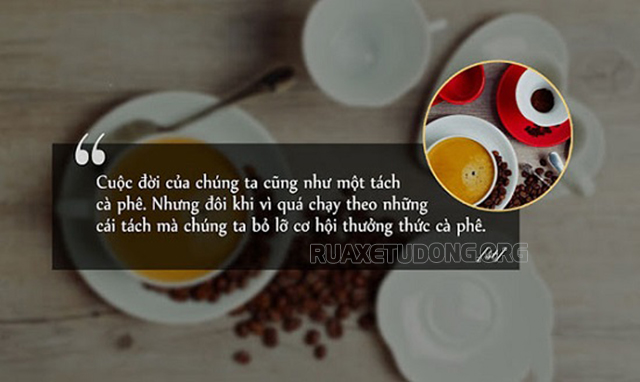 Cap hay về cà phê trong cuộc sống