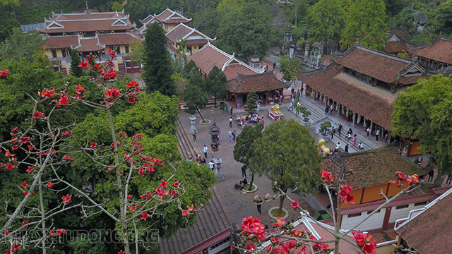 Hoa gạo nở trong chùa Thiên Trù