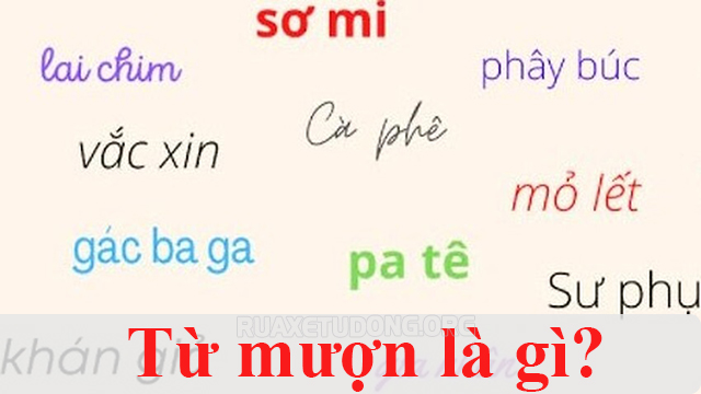 Từ mượn làm phong phú thêm ngôn ngữ tiếng Việt