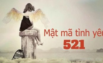 521-la-gi