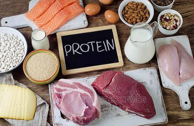 protein-la-chat-dinh-duong-quan-trong